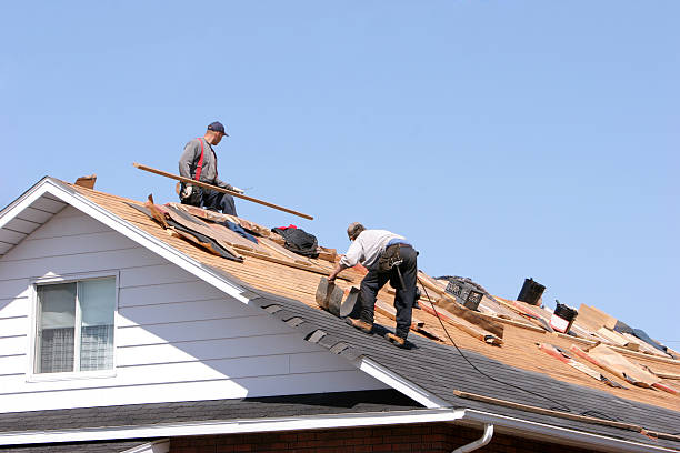 Best Hot Roofs  in St Charles, IL